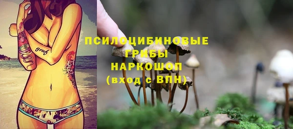 индика Армянск