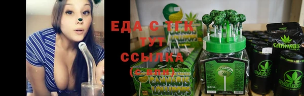 индика Армянск