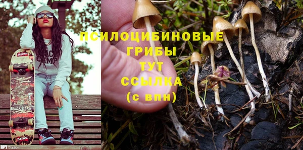 MESCALINE Аркадак