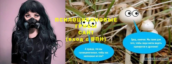 индика Армянск