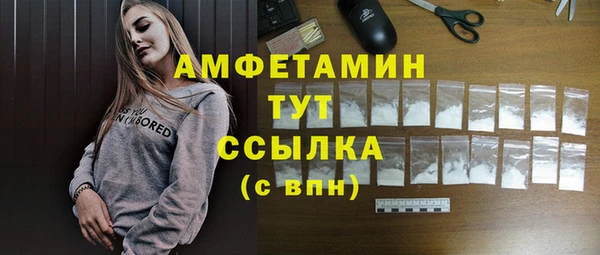 spice Богородск