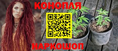 винт Пенза