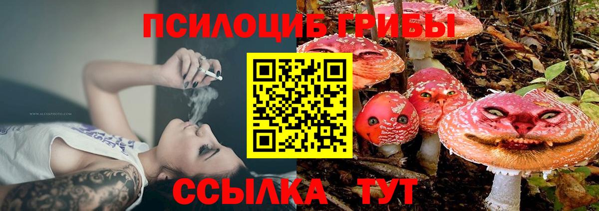 Фролово  Галлюциногенные грибы GOLDEN TEACHER  Вход с VPN 