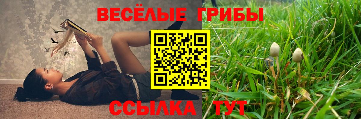Галлюциногенные грибы Magic Shrooms Фролово