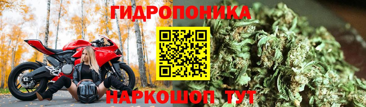 Канабис AK-47  Вход с VPN  Бошки Шишки семена  Фролово  Шишки марихуана сатива 